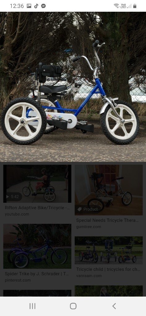 special needs trike with parent handle